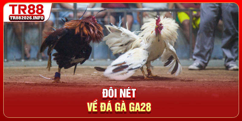 Đôi nét về đá gà GA28